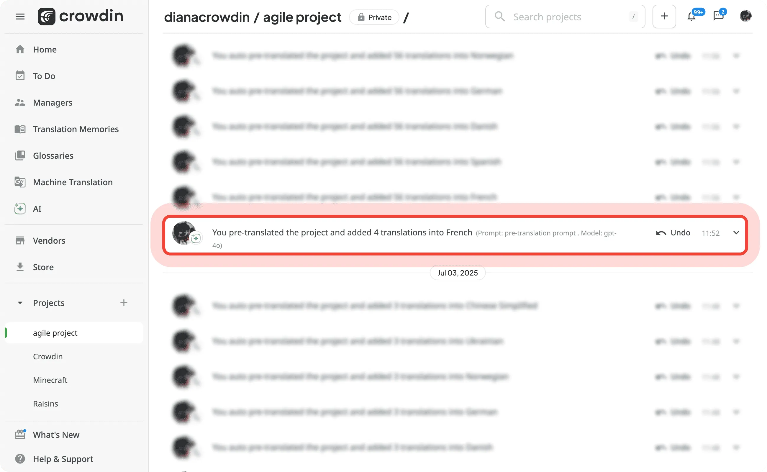 Translation Prompts metadata